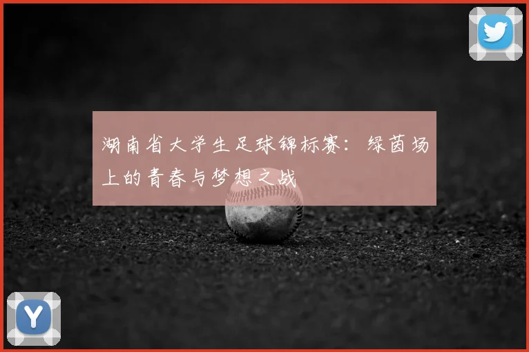 湖南省大学生足球锦标赛：绿茵场上的青春与梦想之战