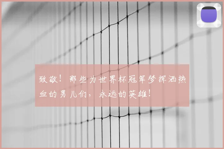 致敬！那些为世界杯冠军梦挥洒热血的男儿们，永远的英雄！