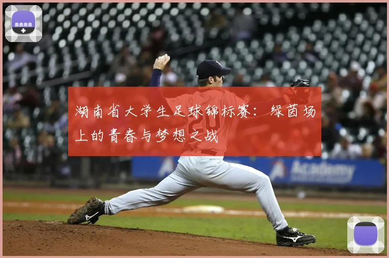 湖南省大学生足球锦标赛:绿茵场上的青春与梦想之战
